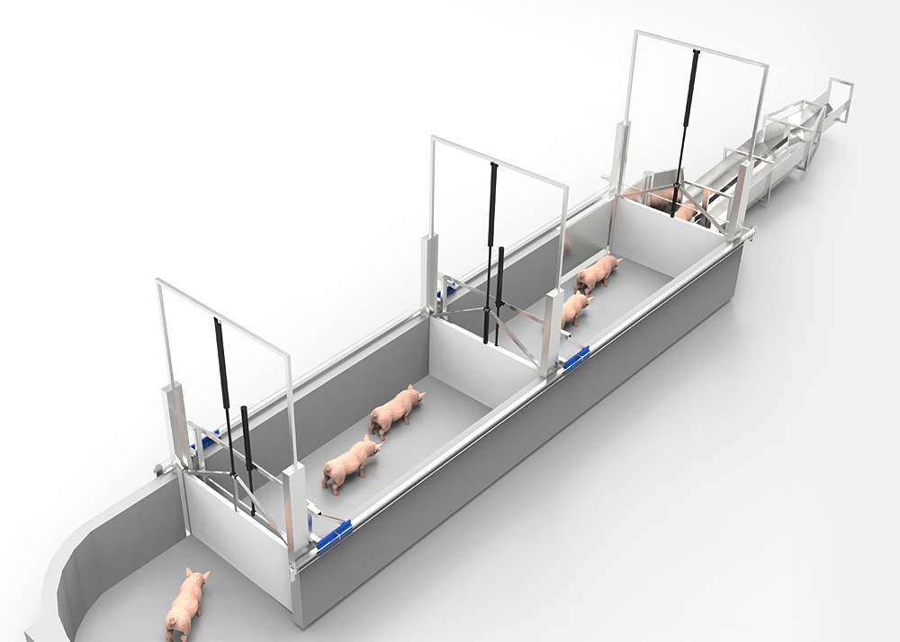 Slaughterhouse and meat processing equipment manufacturer, Riopel